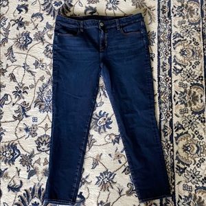 AE High Rise Jegging Dream Jean 14 Short